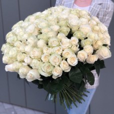 101 White Rose - 60 cm